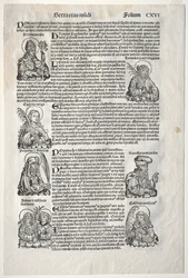 Crónica de Núremberg, 1493