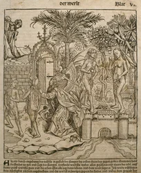 Adán y Eva, ilustración del 