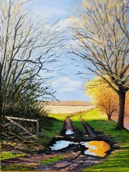 Charco en el camino (óleo sobre lienzo)