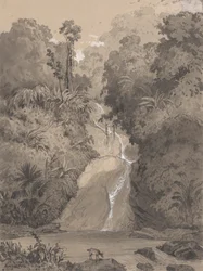 Cascada en St. Anns
