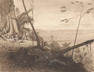 Cedar Point, Monte Tamana