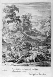 Acteón convertido en ciervo y devorado por sus perros, 1655