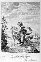 Arion salvado por un delfín