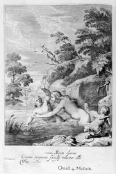 La Ninfa Salmacis y Hermafrodito, 1655