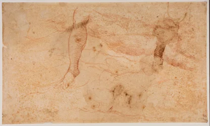 Estudios de desnudos
