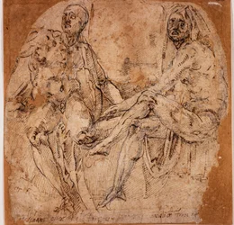 Estudios de desnudos