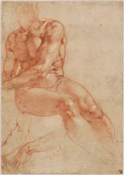 Desnudo masculino joven sentado y dos estudios de brazos (anverso), c. 1510-11