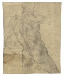 Un desnudo masculino visto desde atrás