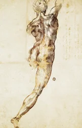 Un desnudo masculino visto desde atrás, estudio para la Batalla de Cascina, dibujo