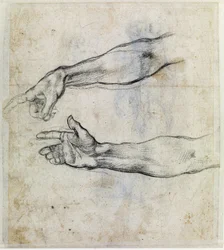 "Detalle del brazo"