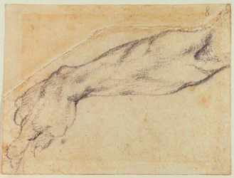 Estudio de brazo para una figura de la Sixtina