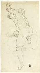 Desnudo masculino ascendente