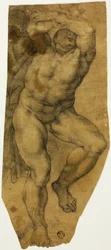 Desnudo masculino ascendente