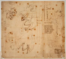 Estudios y recuentos de autógrafos