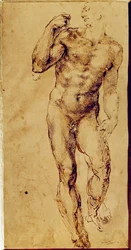 Estudio de hombre desnudo de pie