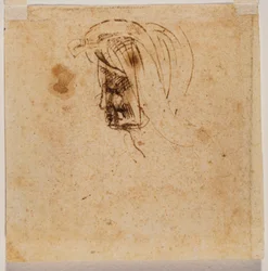 Cabeza de mujer