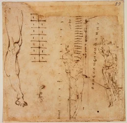 Estudios gráficos