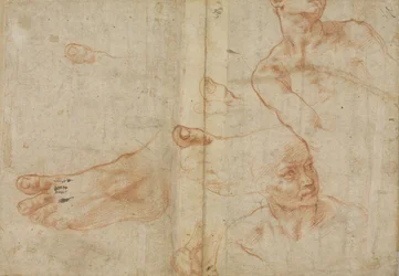 Estudios de figuras para el techo de la Capilla Sixtina
