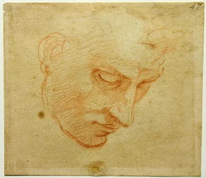 Estudio de cabeza para el techo de la Capilla Sixtina, ca 1509-1510
