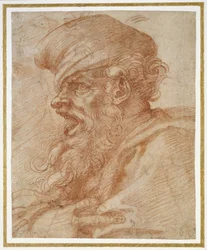 Cabeza de un hombre barbudo gritando, c.1525