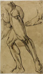 Piernas y pies de desnudo masculino