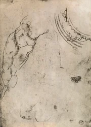 Piernas masculinas, estudio