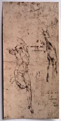Hombre desnudo, estudio de brazo. Dibujo de Miguel Ángel Buonarroti