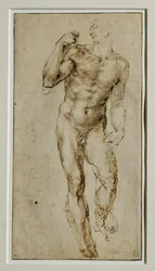 Desnudo masculino, vista frontal, circa 1502-1506 ...
