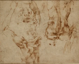 Estudios de desnudos, c1490-1560