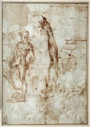 Estudio de desnudo. Michelangelo Buonarroti conocido como Miguel Ángel
