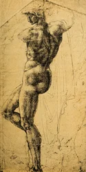 Estudio de desnudo; dibujo de Miguel Ángel. Museo del Louvre, París