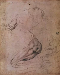 Techo de la Capilla Sixtina (1508-12): bocetos de la figura de Eva de la escena del Pecado Original