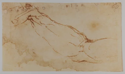 Boceto para el brazo derecho de "Leda", 1528-1530 (dibujo)