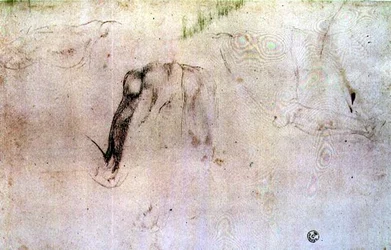 Boceto de piernas