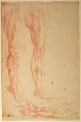 Estudios de piernas y brazos