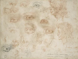 Estudios de Dos Cabezas, c.1525