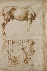 Estudios de un caballo y de un jinete atacando a soldados de infantería, principios del siglo XVI