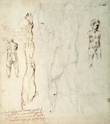Estudio del Niño Jesús y un dibujo anatómico con notas (tiza negra y tinta marrón sobre papel) (verso)