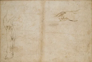 Verso: Estudios de la pierna de un hombre