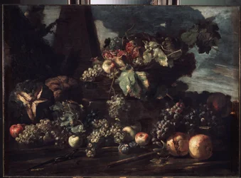 "Bodegón con uvas" Pintura de Michelangelo Pace da Campidoglio (1610-1670) 1650-1660 Dim. 98x134 cm Museo del Hermitage, San Petersburgo