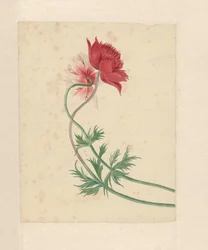 Dos ramas con una flor cada una