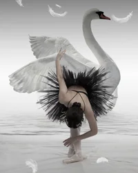 Bailarina del cisne negro