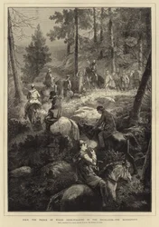 S.A.R. el Príncipe de Gales cazando ciervos