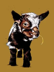 Cabrito en amarillo dorado, 2020