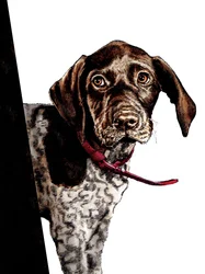 Bye Bye Puppy en blanco, 2020