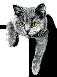 Flora La Gatita en Blanco, 2019