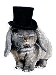Humbug Bunny en blanco, 2020