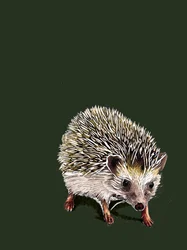 Kimchi The Hedgehog en Forest Green, 2020