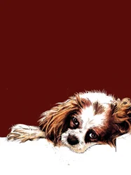Meg, el spaniel, sobre óxido rojo, 2020
