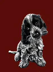 Rosie, el cocker spaniel, sobre óxido rojo, 2020